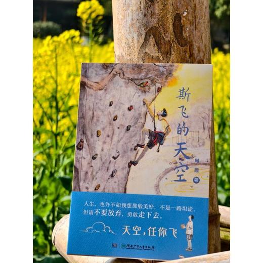 斯飞的天空 商品图0