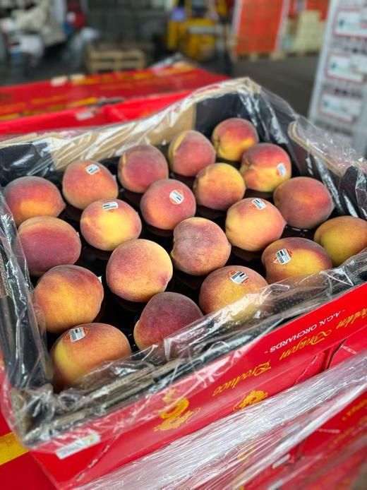 【进口】澳洲黄肉水蜜桃，可以撕皮哦，桃香浓郁，鲜甜多汁，口口回味。 商品图6