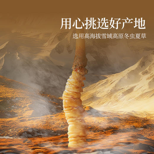 【正宗同仁堂品牌】北京同仁堂 青源堂 冬虫夏草4条/g 20克 虫草礼盒 养生礼品 SY 商品图7