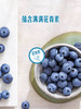 MM 山姆 怡颗梅 云南超大蓝莓 750g 商品缩略图5