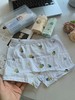 扒货工厂出！10A级抑菌儿童内裤一盒3条  26Y04007- 商品缩略图4