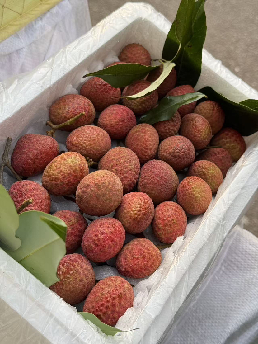 海南空运桂花香荔枝