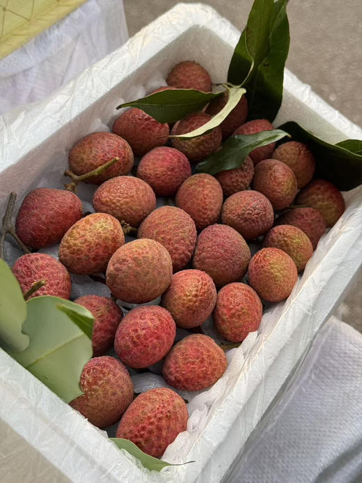 海南空运桂花香荔枝 商品图0