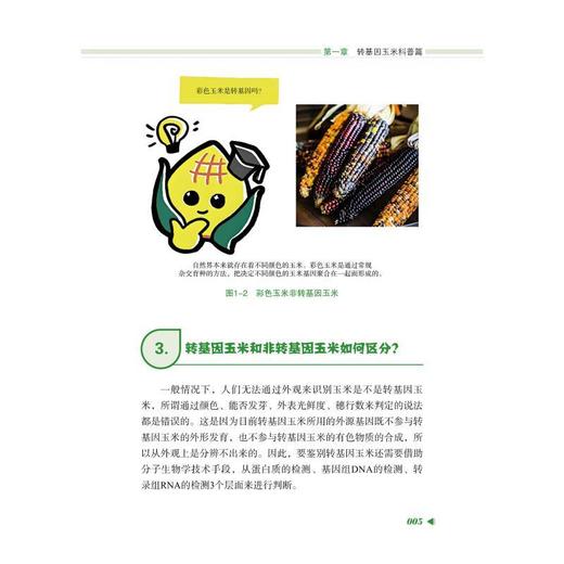 东北转基因玉米种植技术问答 商品图3