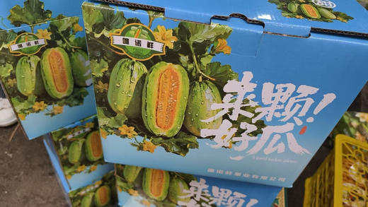 蜜七七羊角蜜瓜6-8个装 商品图3