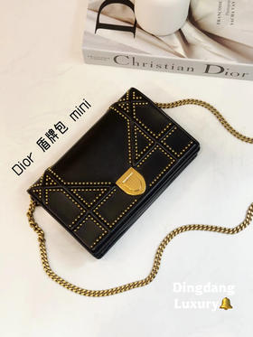Dior mini 黑金 牛皮 盾牌包