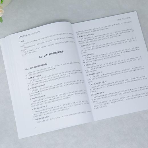 大模型与提示词:构建AI时代高效工作流 商品图4