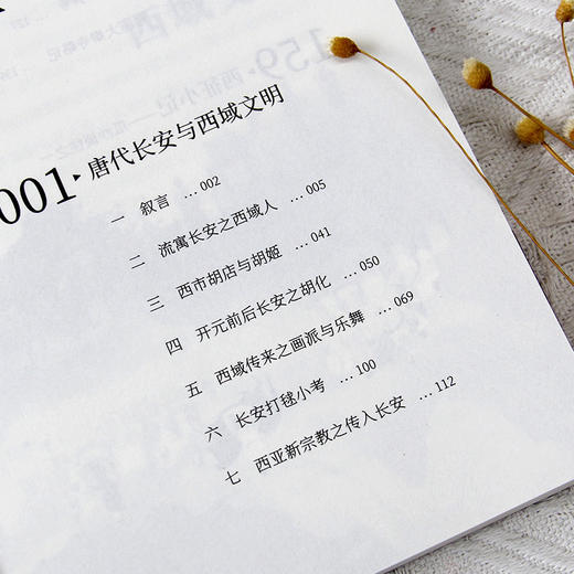 唐代长安与西域文明 商品图4