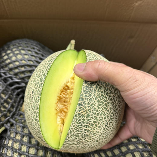 口口蜜🍈网纹瓜 约2..5斤 15.8/个 新货需放软 口感绵甜 商品图3