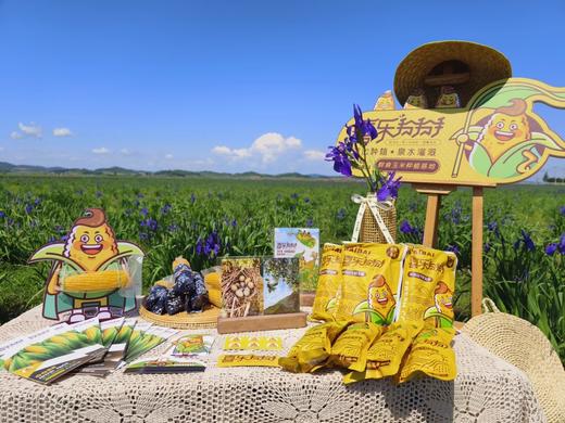 【软糯香甜】喜太萌baby款东北甜糯小棒真空鲜食玉米粗粮JL 商品图1