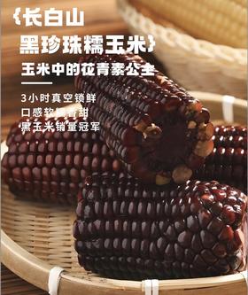 *长白山黑珍珠糯玉米 200g*10棒JL