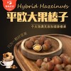 【*0添加纯香】长白山大果榛子  2袋装JL 商品缩略图1