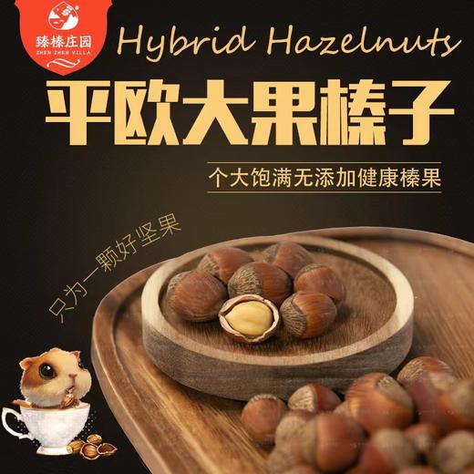 【*0添加纯香】长白山大果榛子  2袋装JL 商品图1