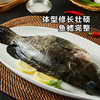 MM 山姆 老虎斑鱼 600g 商品缩略图2