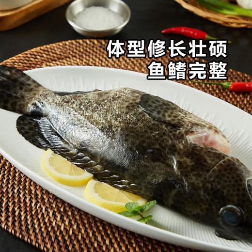 MM 山姆 老虎斑鱼 600g 商品图2