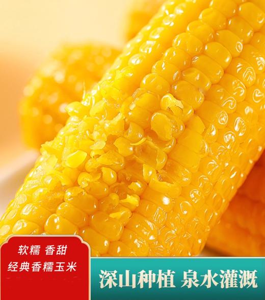 【黄金口感】吉林黄糯鲜食玉米 家庭装 400g/袋*5（到手10棒）JL 商品图2
