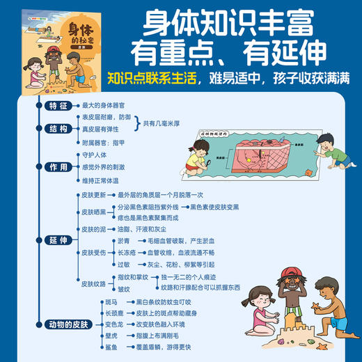 亲亲科学图书馆《身体的秘密》（全十册） 商品图4