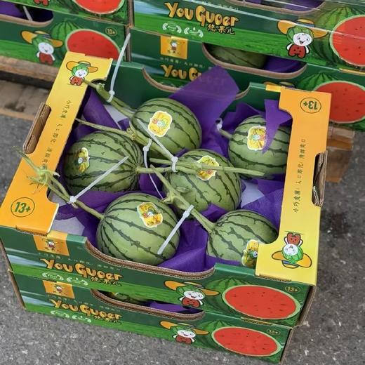 悠果儿小糖丸西瓜 商品图2