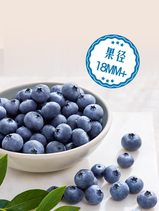 MM 山姆 怡颗梅 云南超大蓝莓 750g 商品图1