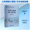 大语言模型:原理.应用与实践 商品缩略图0