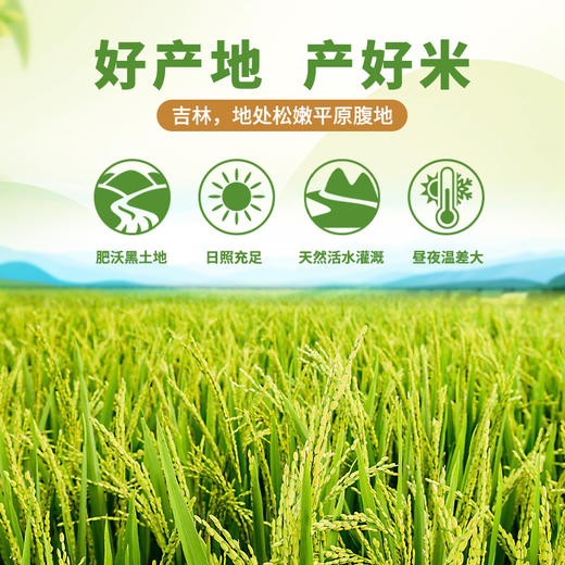 【季卡专属兑换套餐】六鲜合一鲜碾原粮稻花香2号礼盒装 5kg/箱JL 商品图2