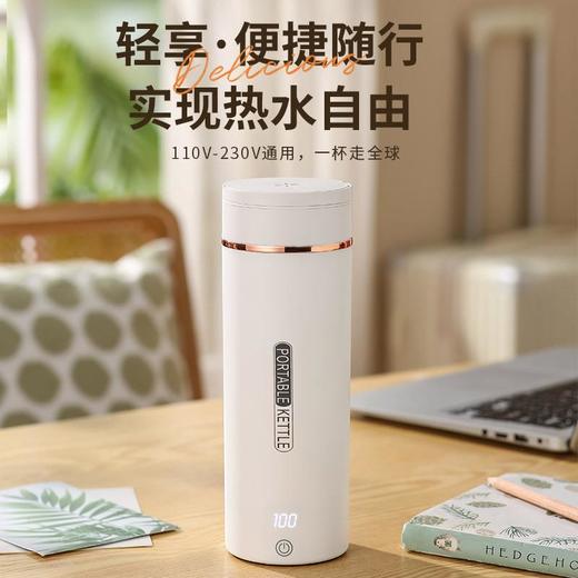 全球通用便携式烧水壶旅行加热烧水杯小型家用热水壶保温杯电热杯 商品图1