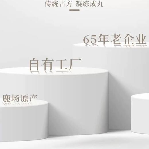 十九味鹿心丸JL 商品图2