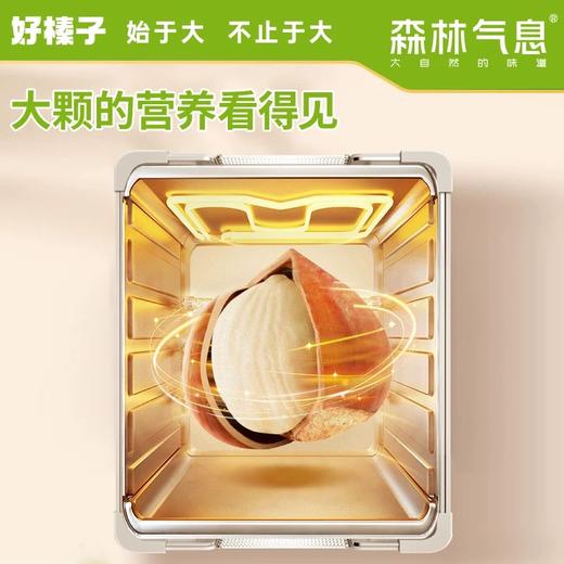 *长白山森林气息开口脆榛子245g/罐JL 商品图3