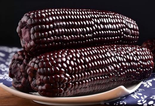 长白山下黑土种植喜乐掰掰鲜食玉米黑糯（女神款）JL 商品图1