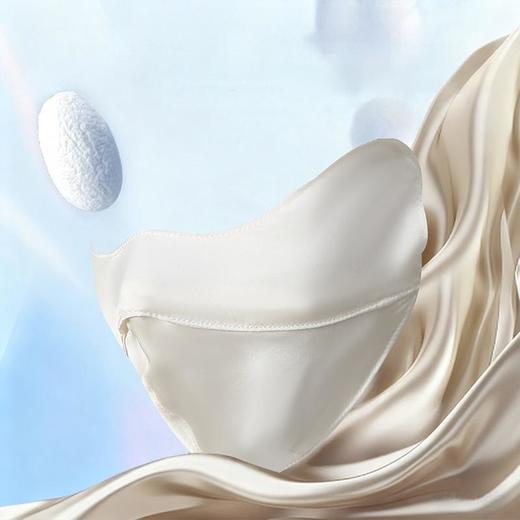 真丝口罩 商品图2