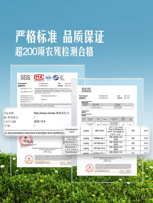 MM 山姆 串收小番茄 1kg 商品图3