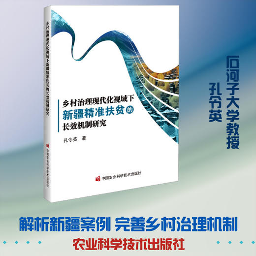 乡村治理现代化视域下新疆精准扶贫的长效机制研究 商品图0
