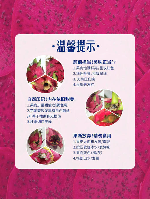 MM 山姆 红肉火龙果 2.5kg 商品图7
