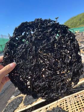 xm 【东山特产｜头水紫菜，海味中的“初乳”到货】