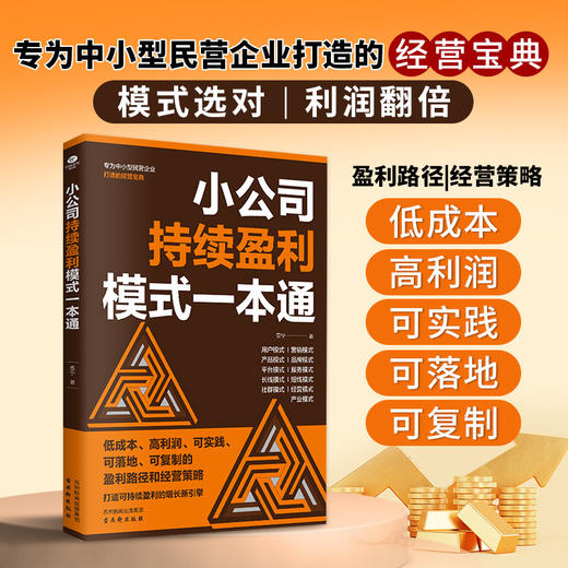 小公司持续盈利模式一本通 商品图0