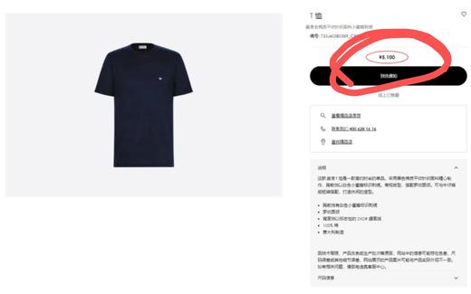 原单高端男女同款新型羽毛蛋白纤维蜜蜂刺绣T恤 商品图10