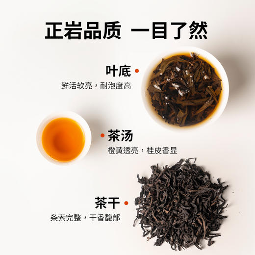 窠岩氏 武夷山果香肉桂 250g 盒装包邮 商品图5