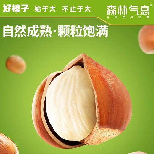 *长白山森林气息开口脆榛子245g/罐JL 商品图4
