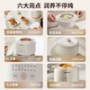 九阳隔水炖1.0L升电炖锅家用燕窝电炖盅婴儿辅食锅宝宝煮粥煲汤锅 商品缩略图1
