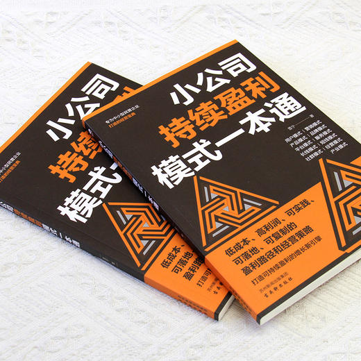 小公司持续盈利模式一本通 商品图4