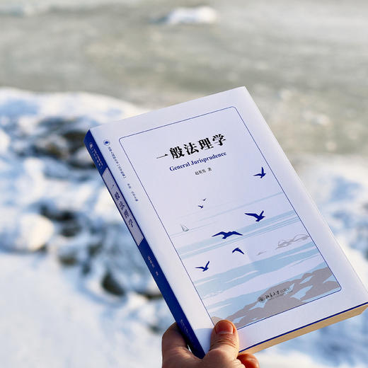 一般法理学 商品图4