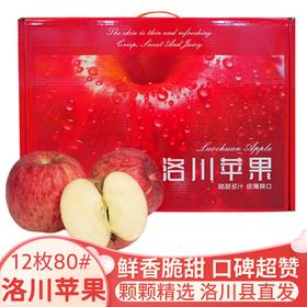 【洛川红富士苹果】陕西洛川苹果水果新鲜12枚手提礼盒装延安洛川红富士苹果