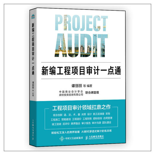 新编工程项目审计一点通 新基建工程全流程审计融合实战案例 企业内部审计工程项目管理书籍 商品图4