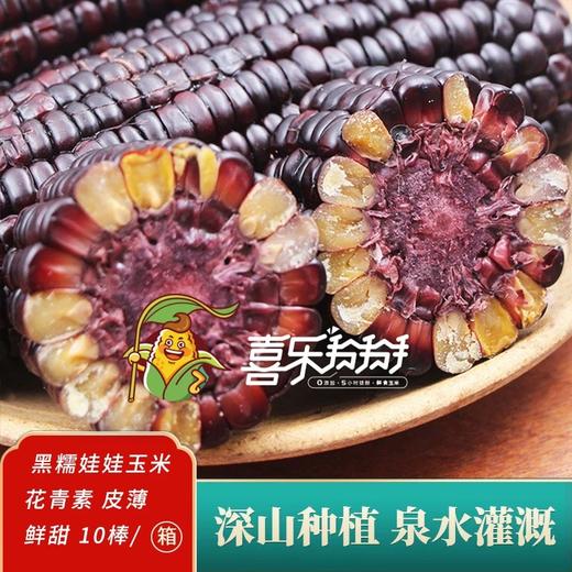 喜乐掰掰黑糯鲜食玉米10根/箱JL 商品图0