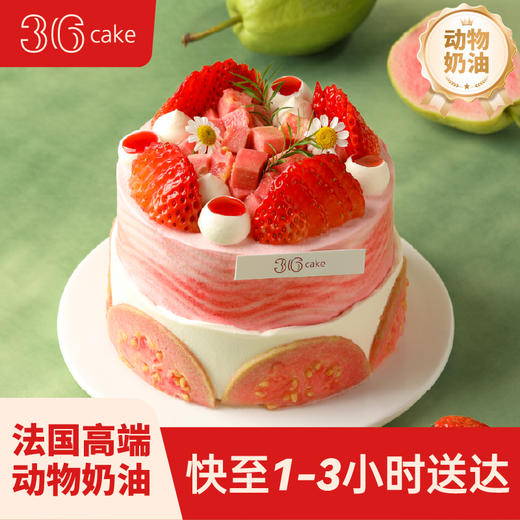 春见芭乐-芭乐莓莓布丁蛋糕，可选1/1.5/2.5/3.5/6磅 | 36CAKE 商品图0