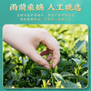 茶马世家高山云雾茶硒茶500g 商品缩略图2