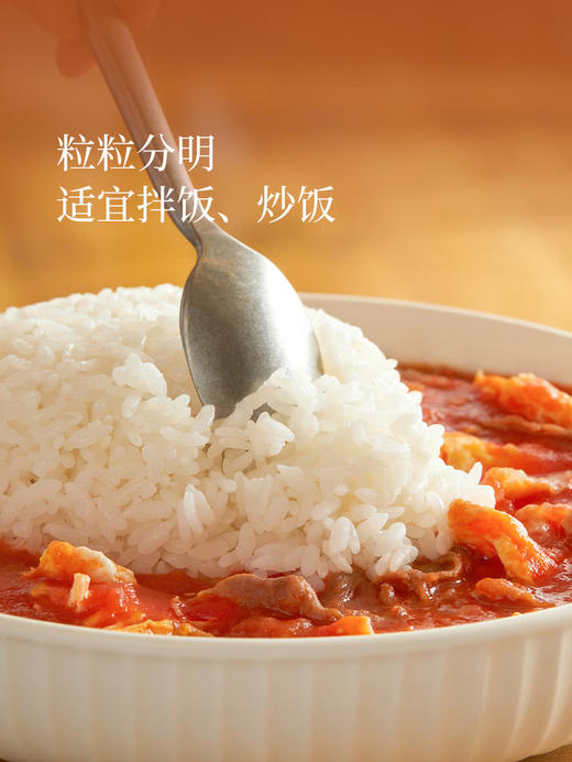 十月稻田优质东北大米长粒香5kg*2  山姆会员店商品非商品原因不支持退款 商品图1