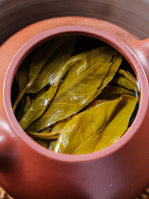 4月2日中午12点【易武马鞍山高杆】2026年春茶预售易武马鞍山七仙女古树高杆中的三棵大高杆 廿泡犹响薄荷塘——未矮化之躯证茶气本原357克/饼 商品图7