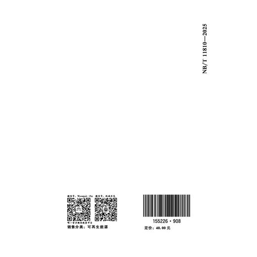 可再生能源电力制氢工程规划报告编制规程 NB/T 11810—2025 商品图4