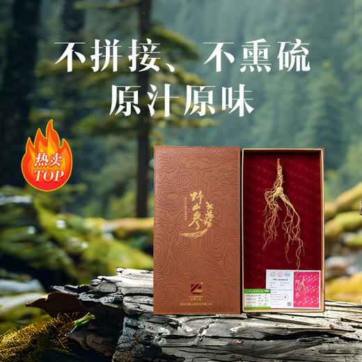 【长白山原支野山参  自然灵气滋养】长白山一等野山参整支配证书JL 商品图2